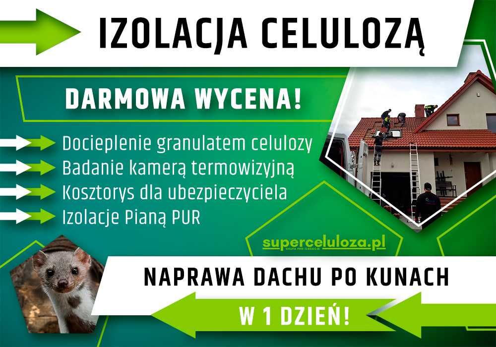 Ocieplenie poddasza | Wdmuchiwanie celulozy | Piana PUR | Kuny naprawa