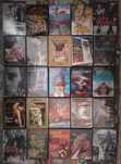 Lote 355 DVD's originais (LOTE 21)