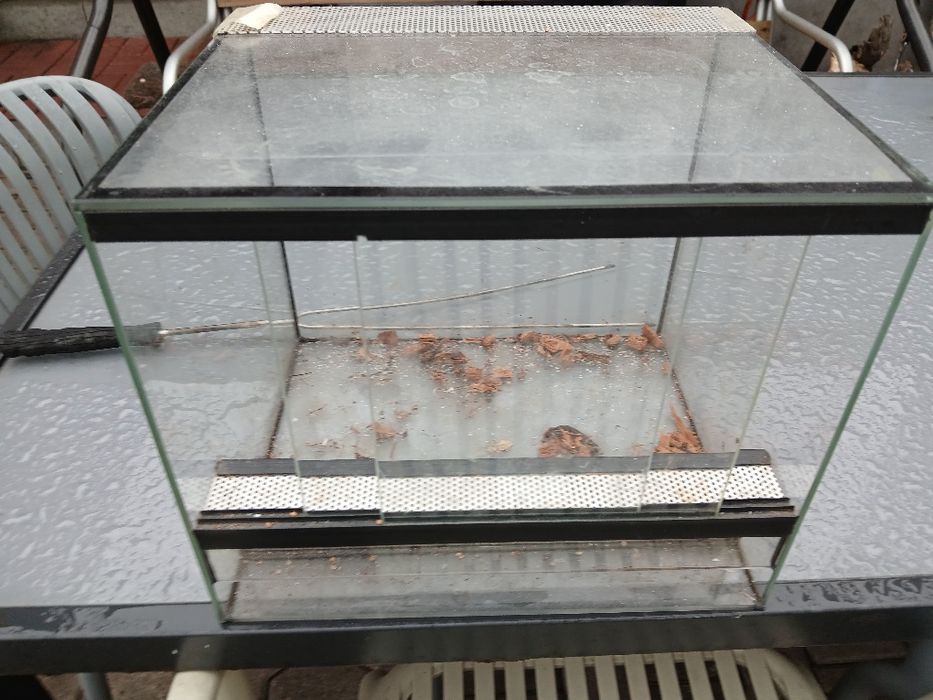 Terrarium sprzedam