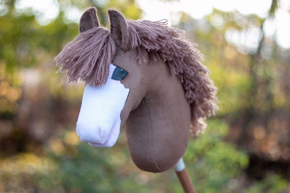 Kasztanowaty Hobby horse a4