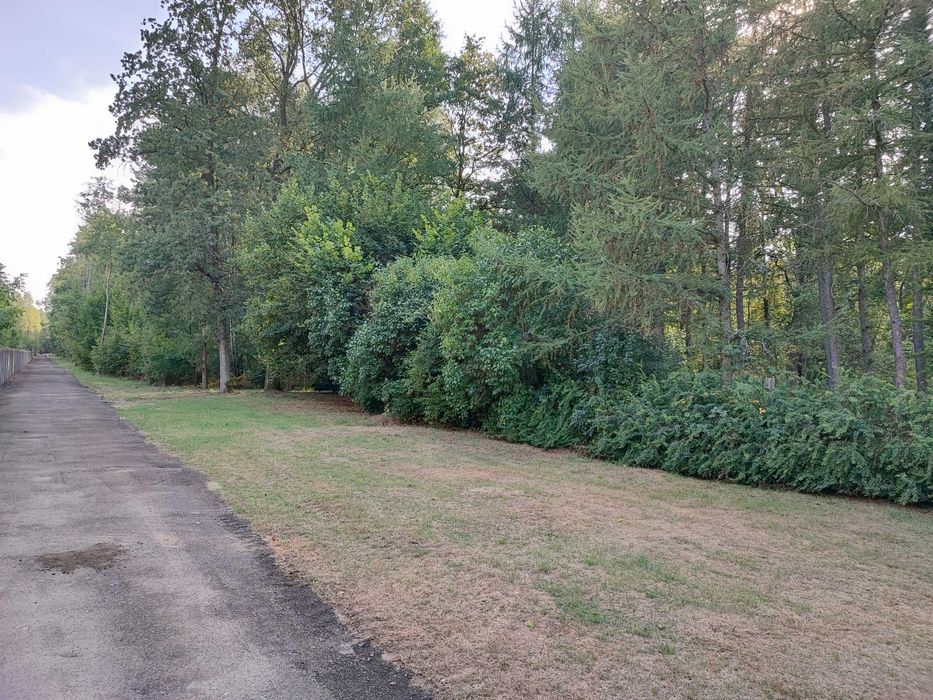 Sprzedam działkę rekreacyjno - budowlaną koło Radomska