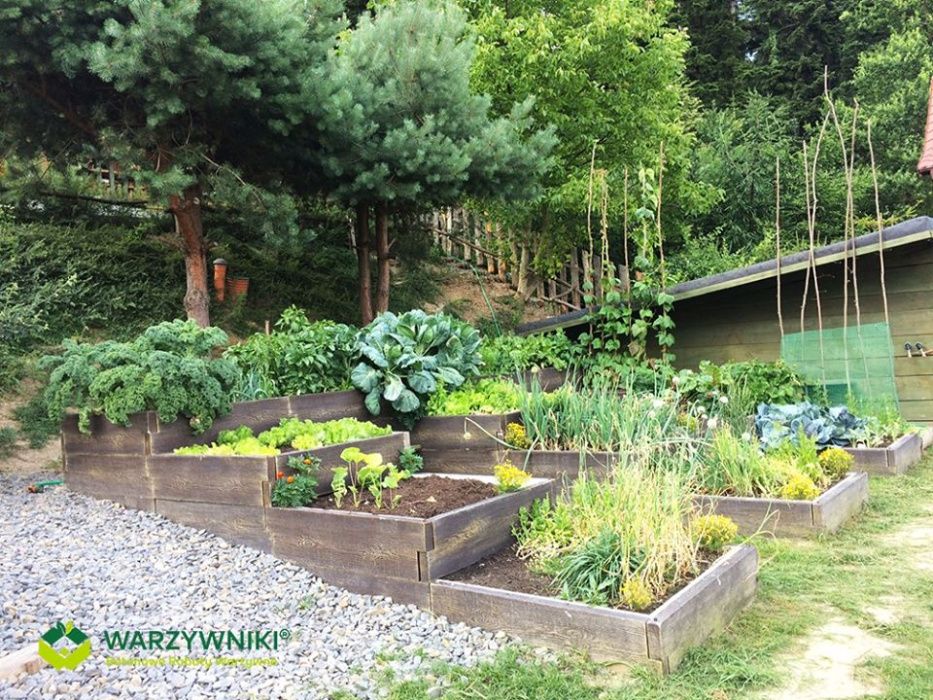 Warzywnik betonowy podwyższone grządki Paleta na zielnik kwiaty Donice