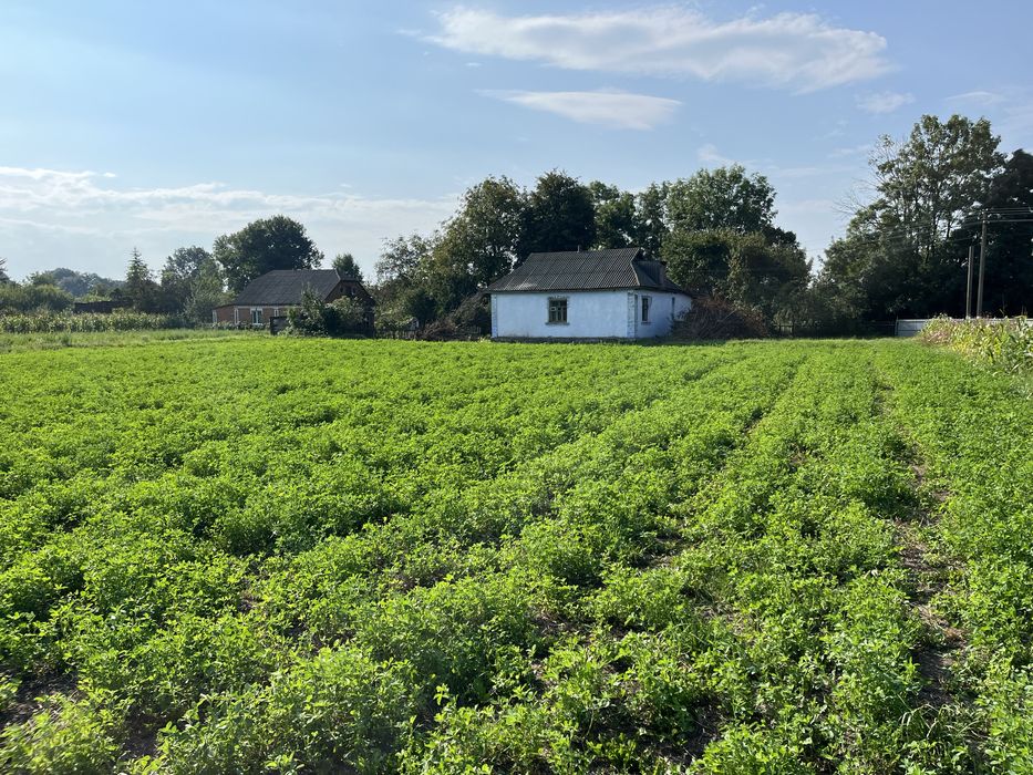 Продам будинок 45 км від Вінниці