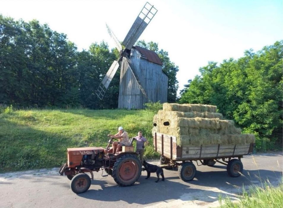 Сіно тюковане горбове