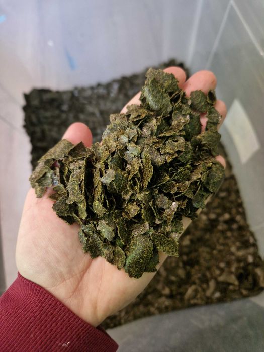 Makuch konopny makuchy