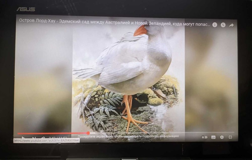 Ноутбук Нетбук Notebook ASUS.Автояркость. 4ядра. SSD. Батарея 7 часов