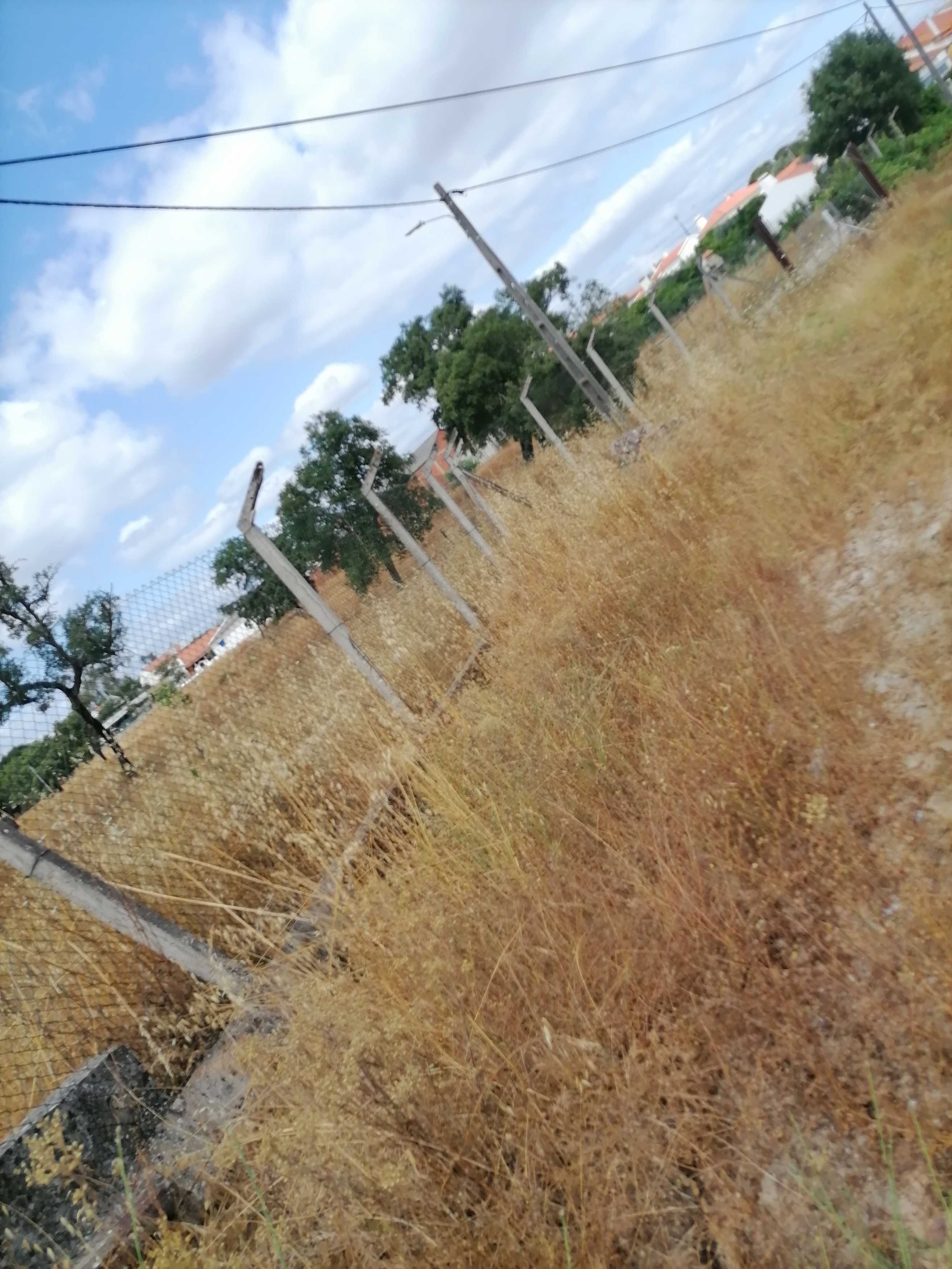 Quinta, com pavilhões.