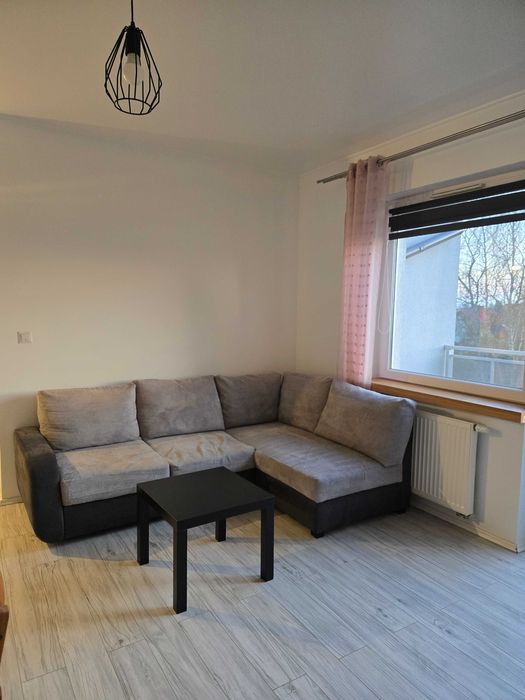 Mieszkanie do wynajęcia Budzyń