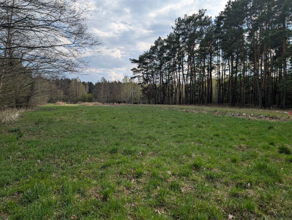 Działka Dziechciniec 1500m