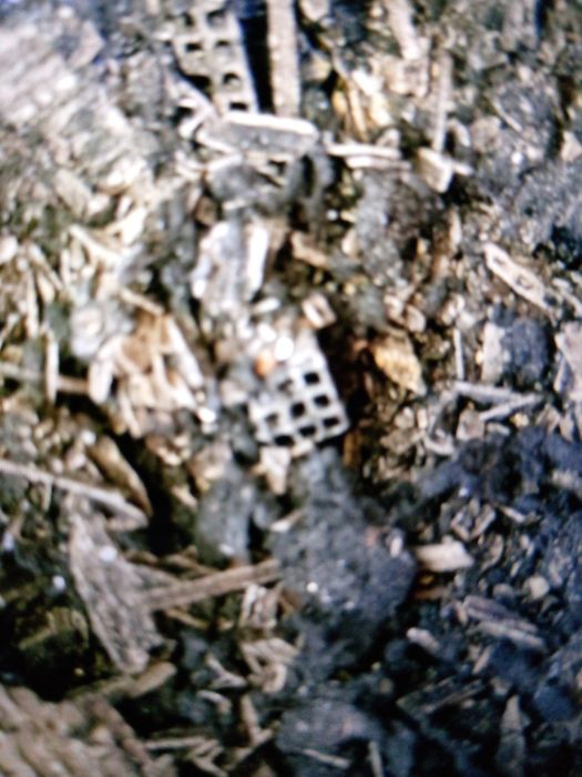 Продам лом та каталізатор