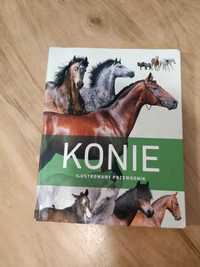 Książka o koniach