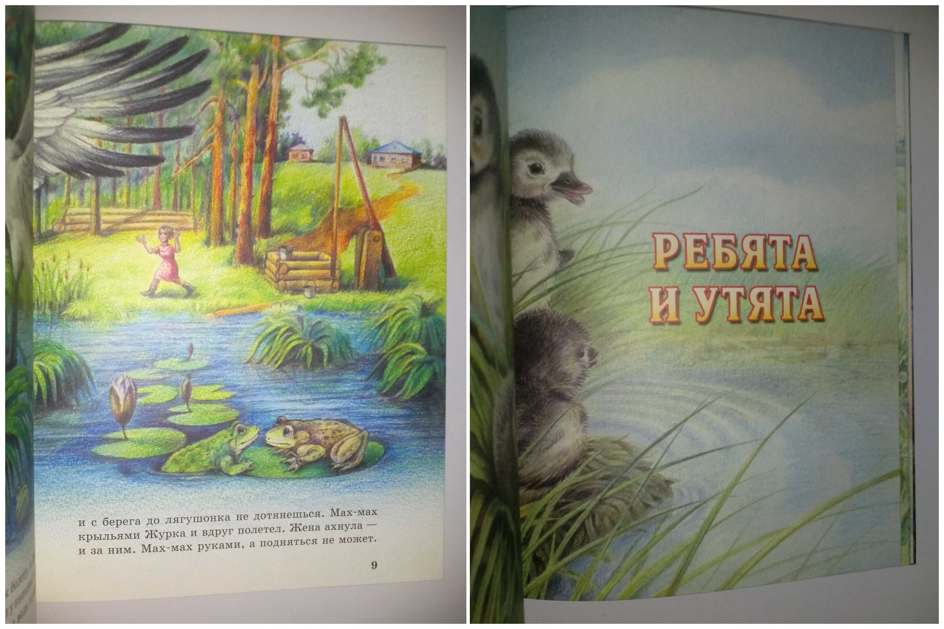 Детские книги Пришвин Рассказы о животных