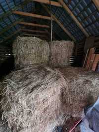 Bale siano 120x120 z 2023r