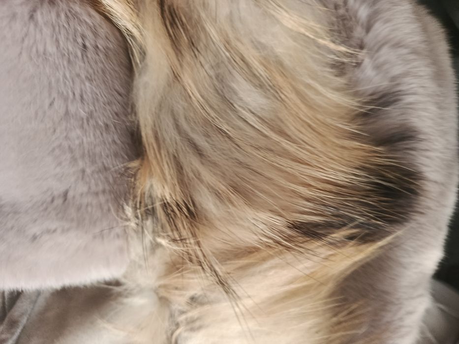 Шуба натуральна овчина світла оригінал Турція