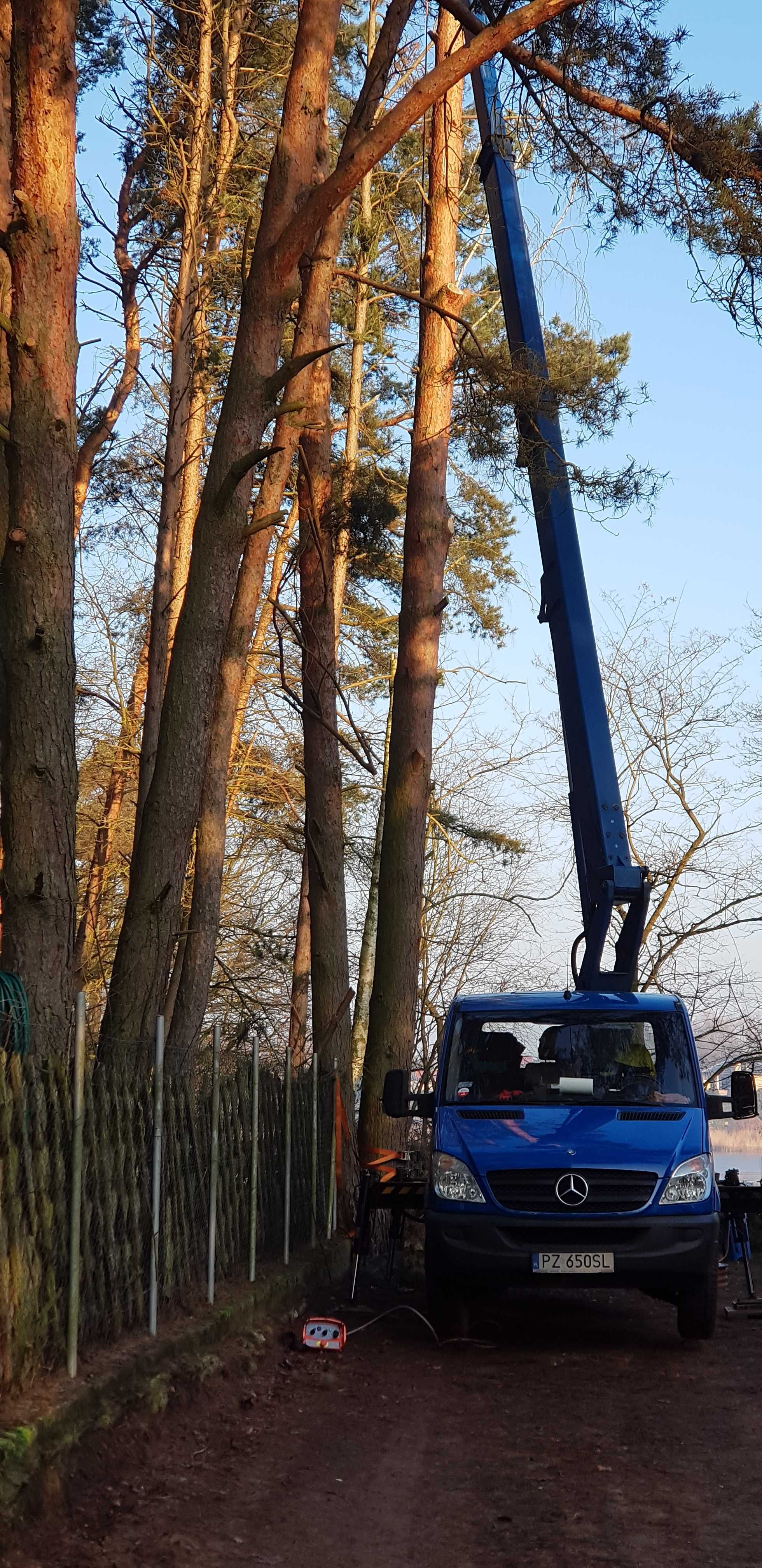 Wycinka drzew, rębakowanie, podnośnik koszowy, transport wywrotką