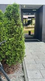 Wynajmę pokój dla branży beauty, administracyjno-biurowej - centrum