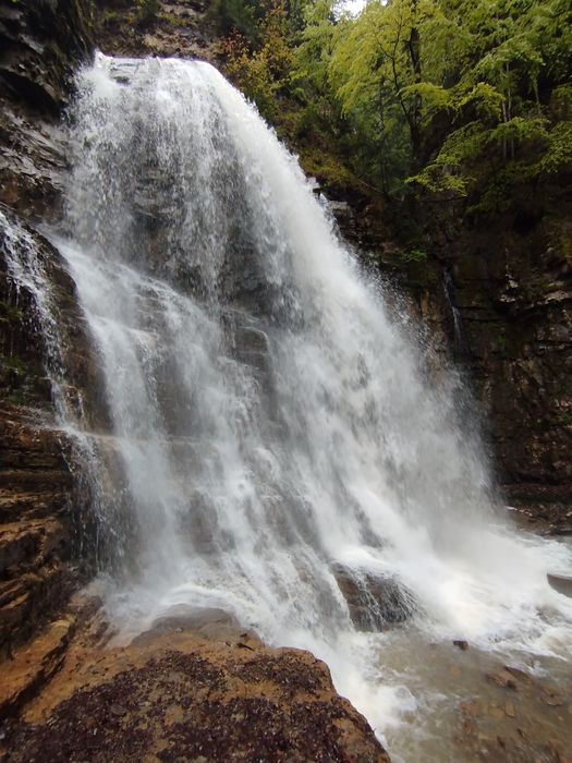 Екскурсії,, Екскурсовод зі своїм авто. Guide,English