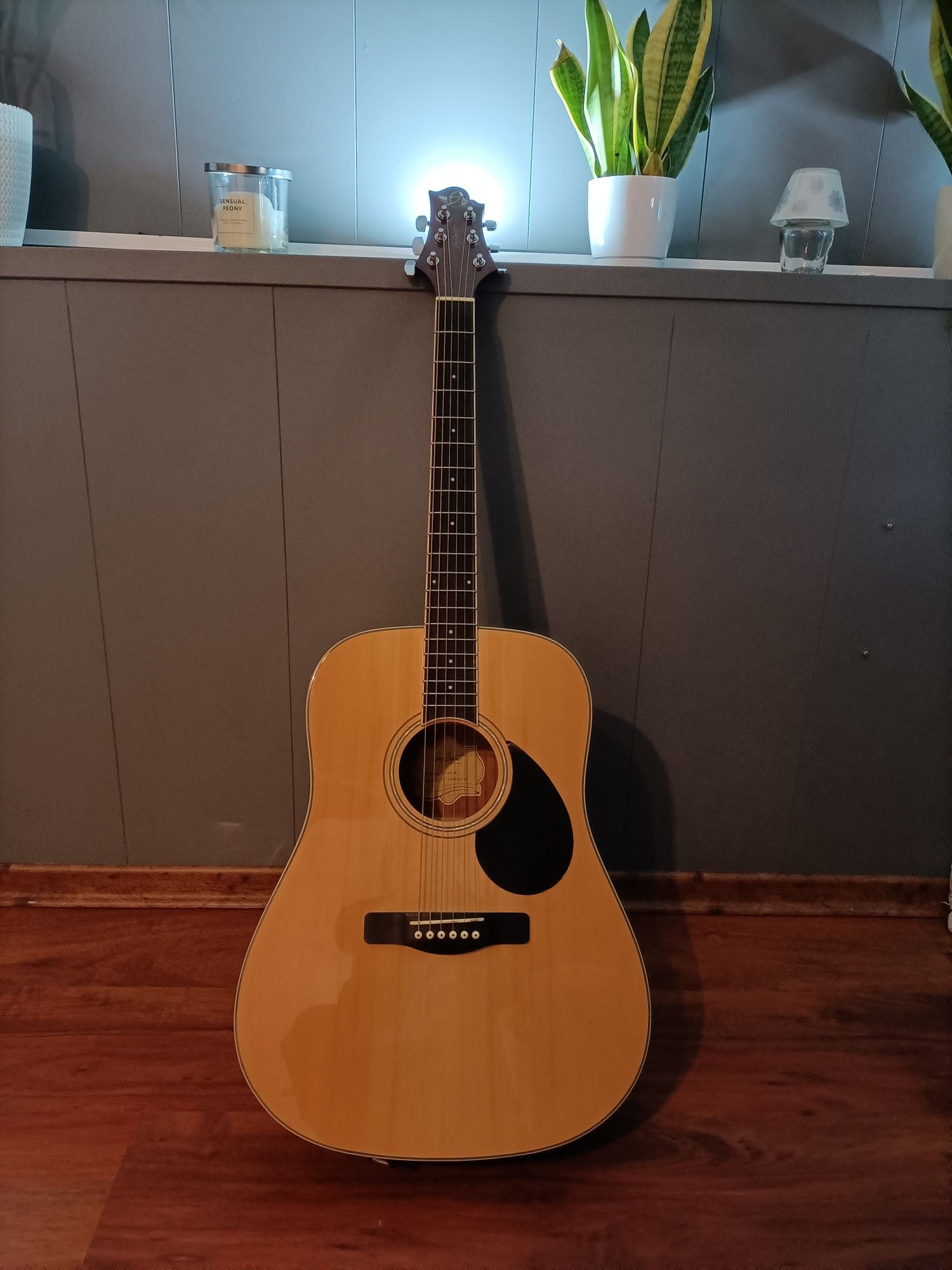 Gitara akustyczna Samick  GD-60 N