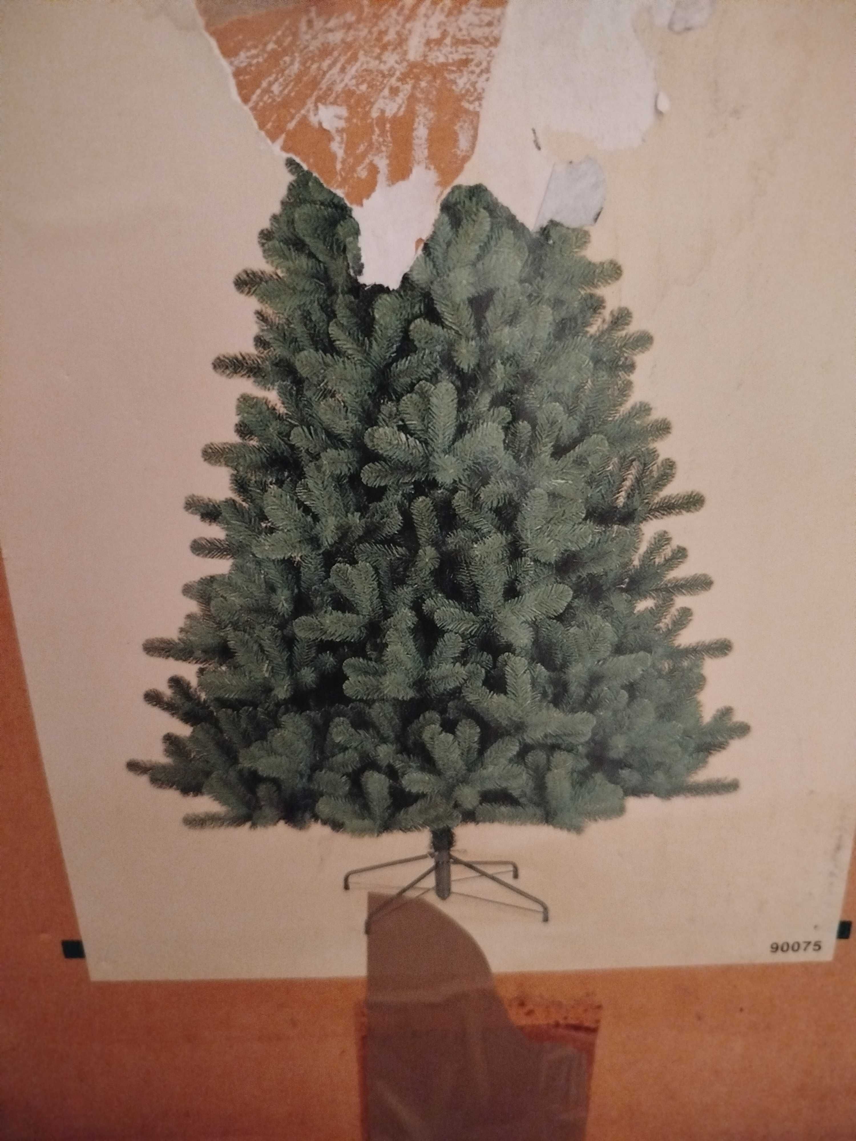 Pinheiro de Natal