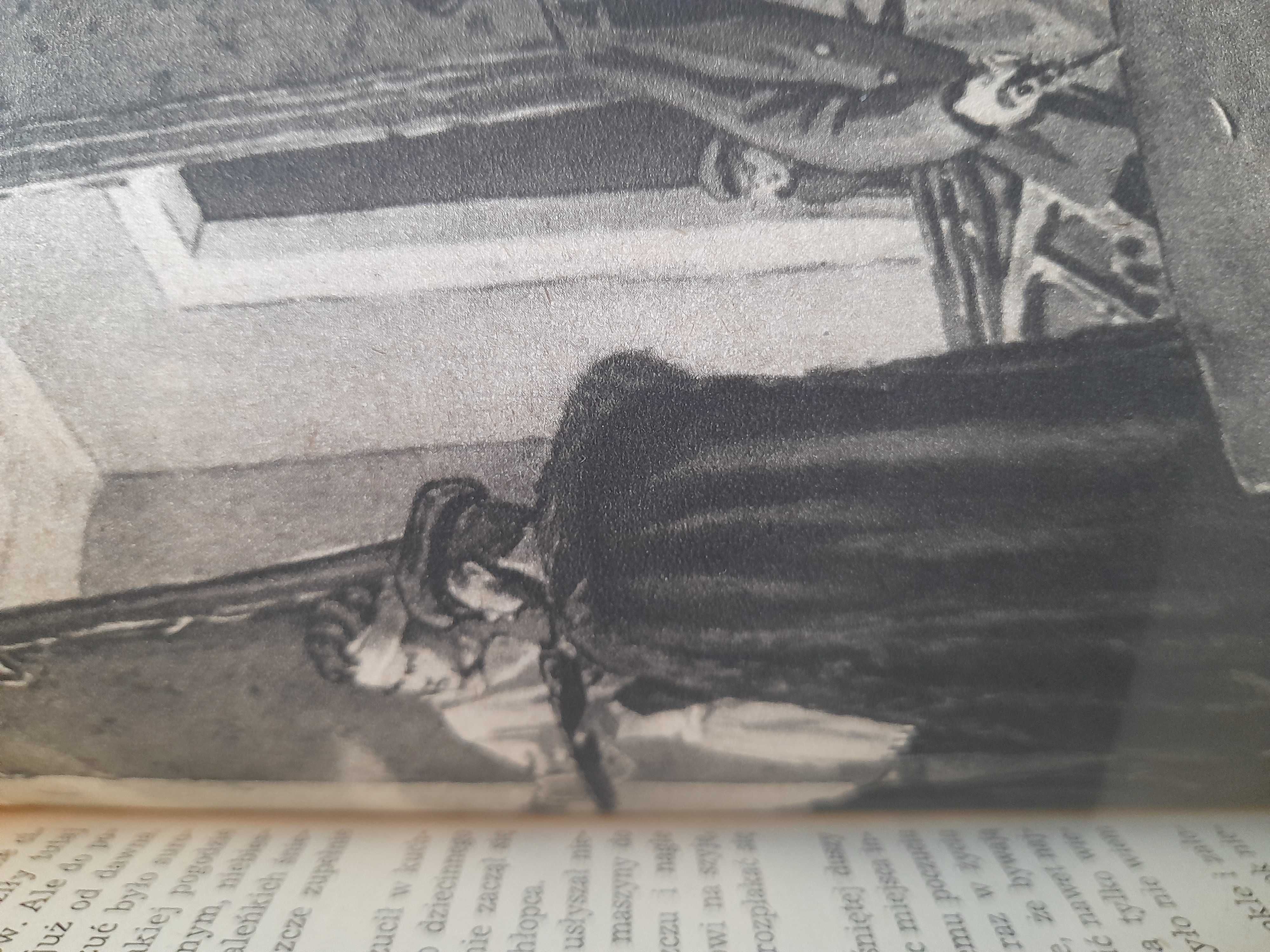 Samotny bialy żagiel  Katajew 1953r