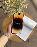 Iphone 14 Pro Max Gold 128gb Global