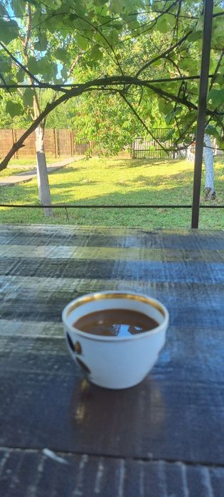 Продам дачу на Дністрі