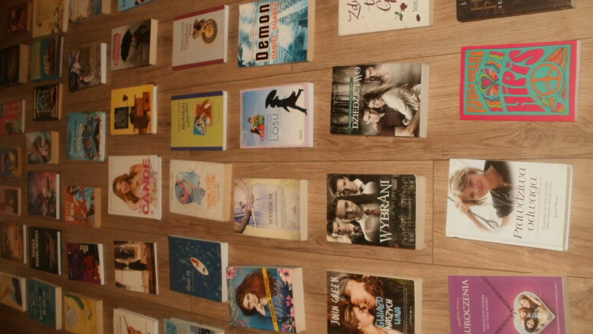 John Green, I. Sowa i inni - olbrzymi zestaw książek