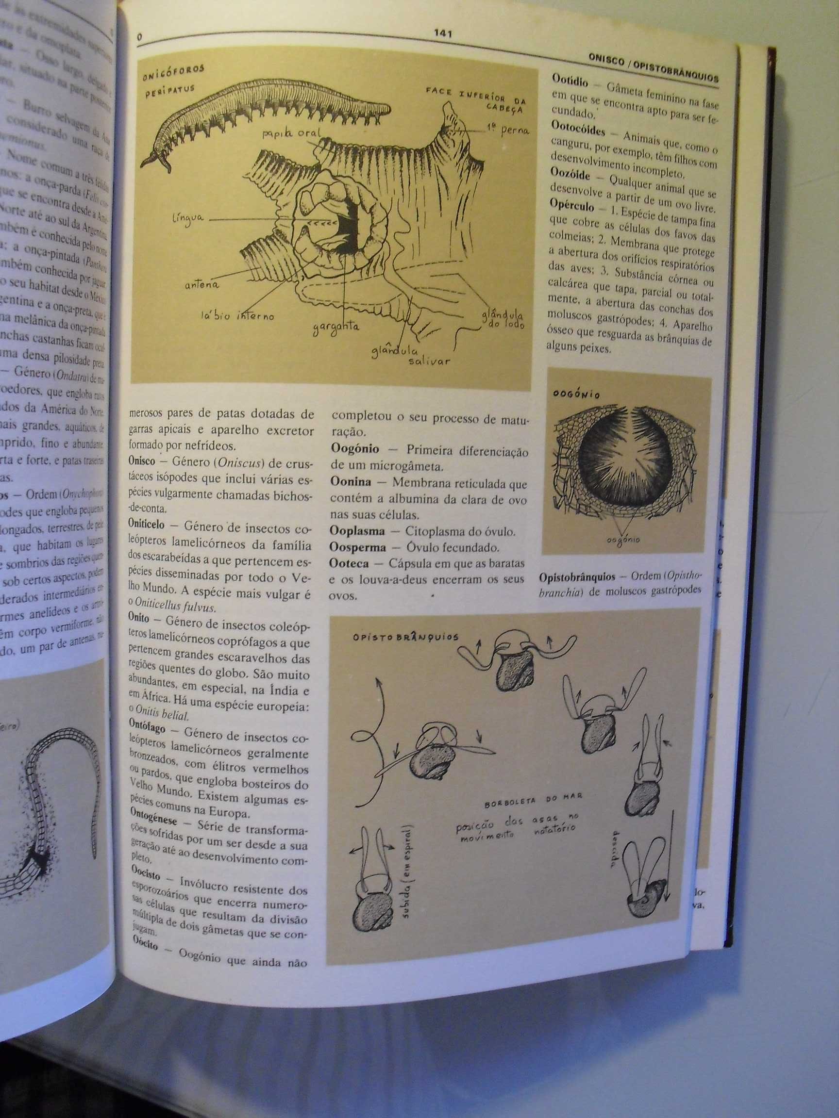 Vários;Dicionário de Zoologia Ilustrado