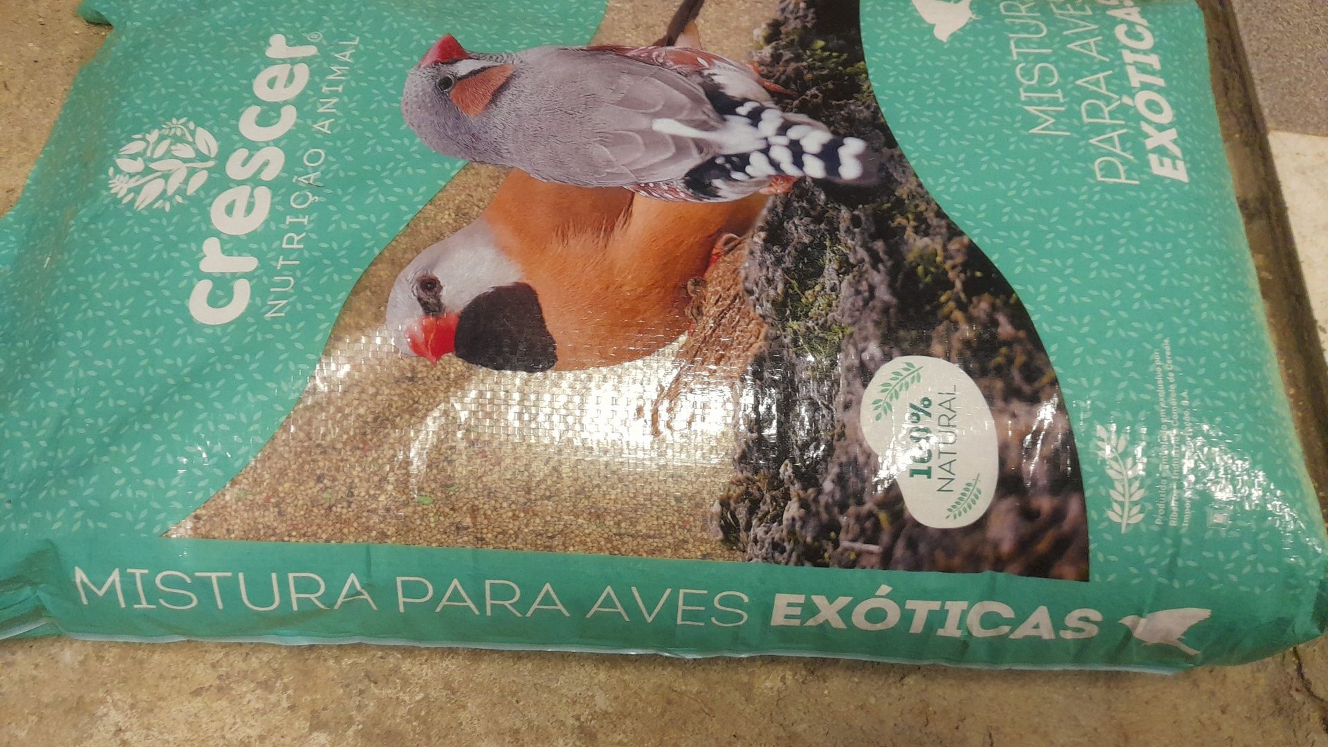 Comida/sementes para pássaros exóticos