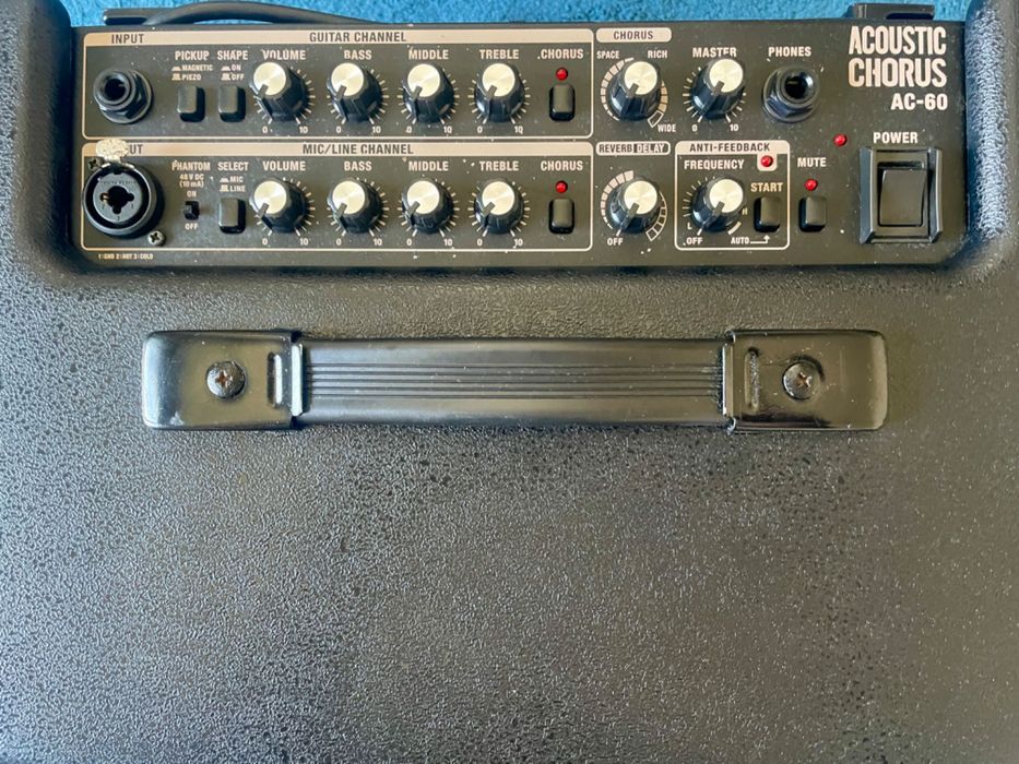Amplificador Roland AC60
