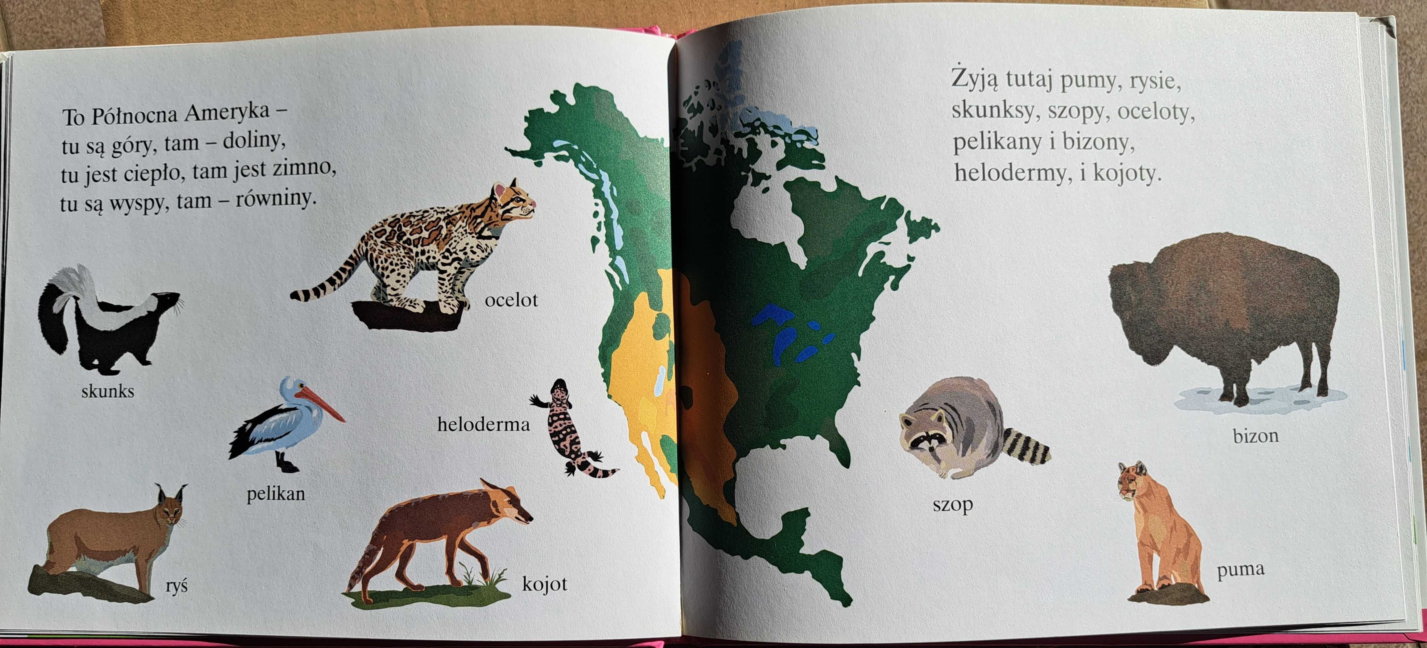 Książka popularnonaukowa dla dzieci - Kontynenty.