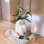Fazemos Personalizações em Gesso, Resina e Velas