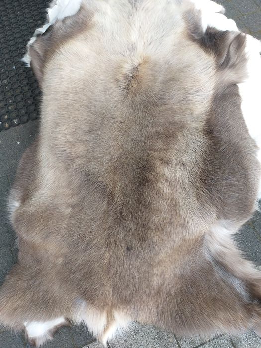 Naturalna skóra zrenifera