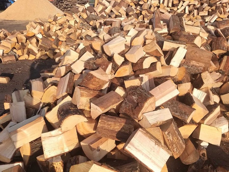 5.0.1.0.2.6.1.4.9 Drewno, drzewo kominkowe, opałowe