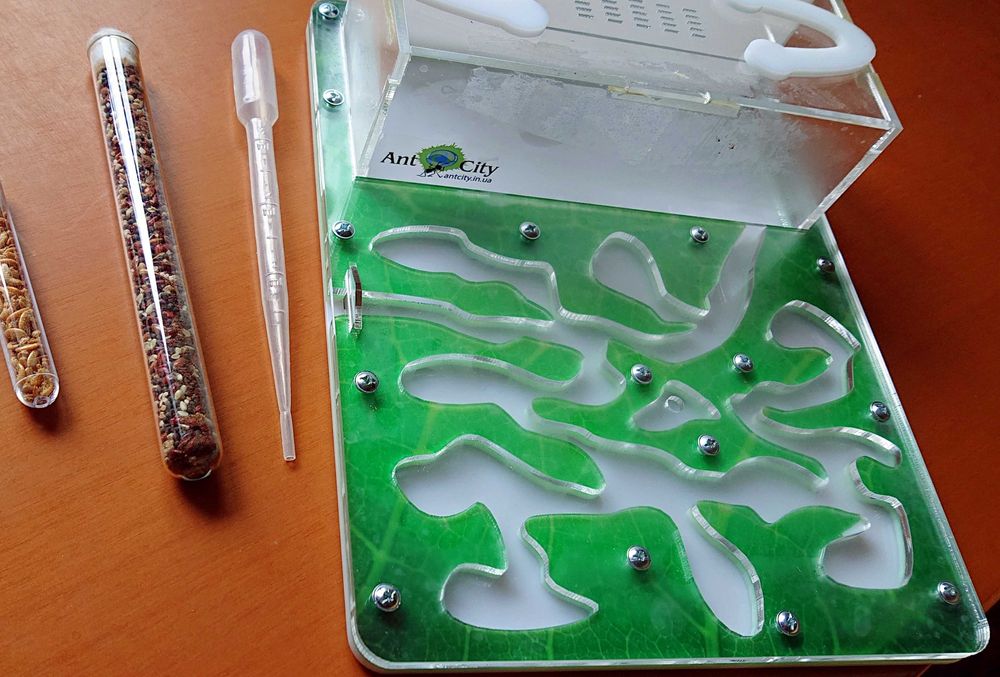 Формікарій Ant City