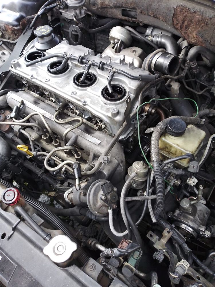 Motor de masza 6 2004 diezel