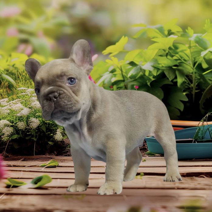 Невгамовні карапузи чекають на Вас!