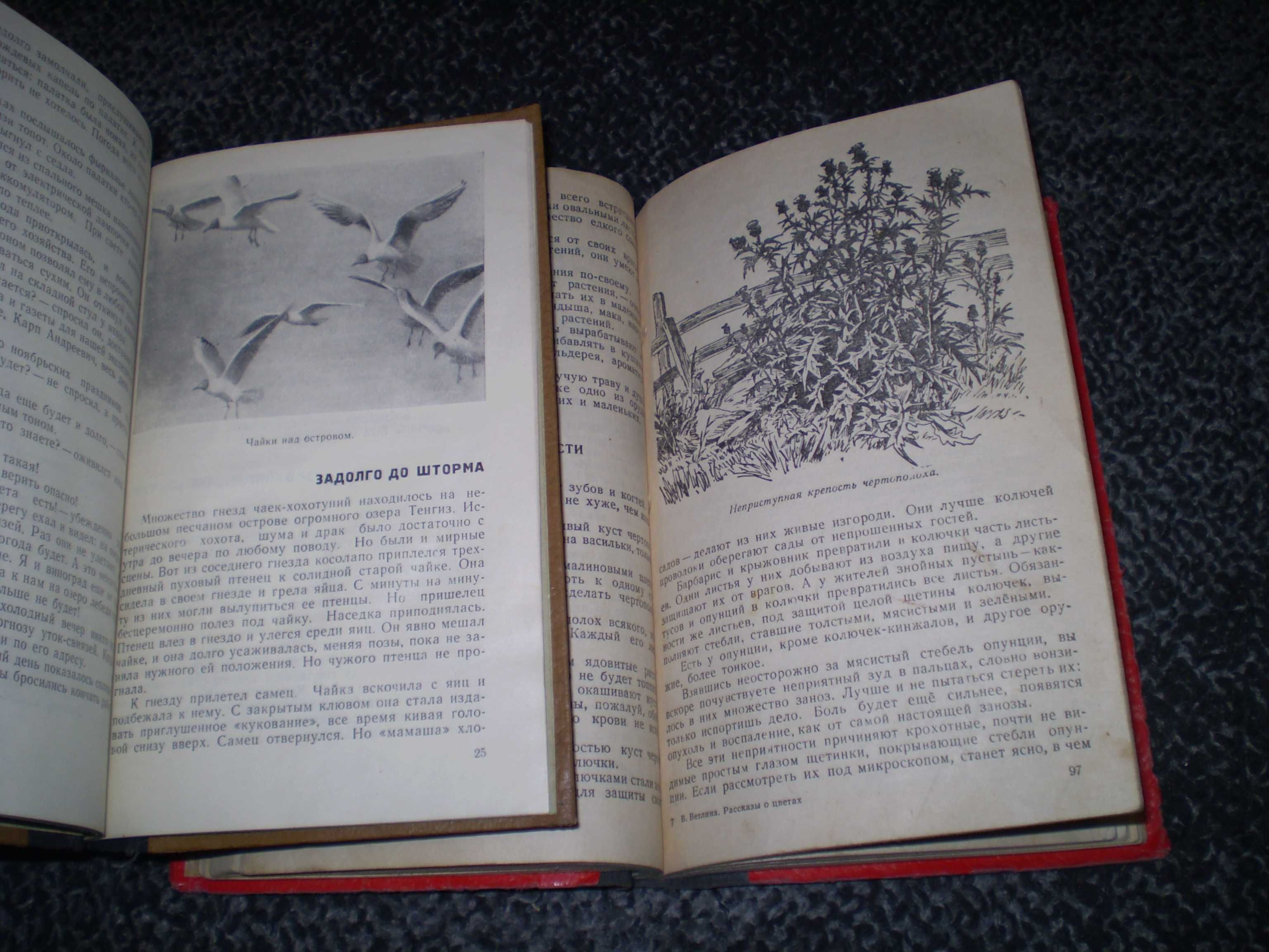 М.Зверев Погода и животные.1965г. В.Ветлина Рассказы о цветах.1956г