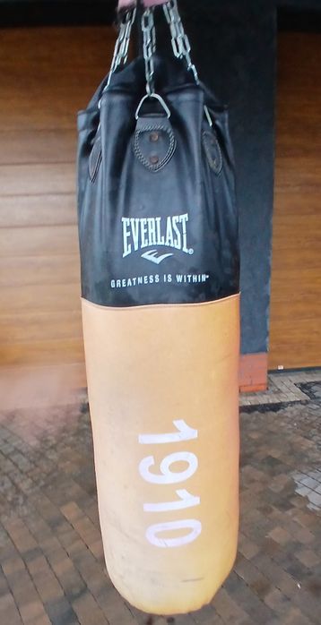 Profesjonalny worek treningowy EVERLAST