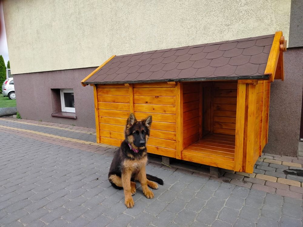 Wykonuję budy dla psów