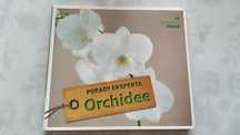 Orchidee,porady eksperta