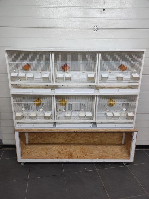 Viveiros para canários