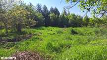 Działka, Maszków