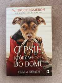 Książka ,,O psie, który wrócił do domu”