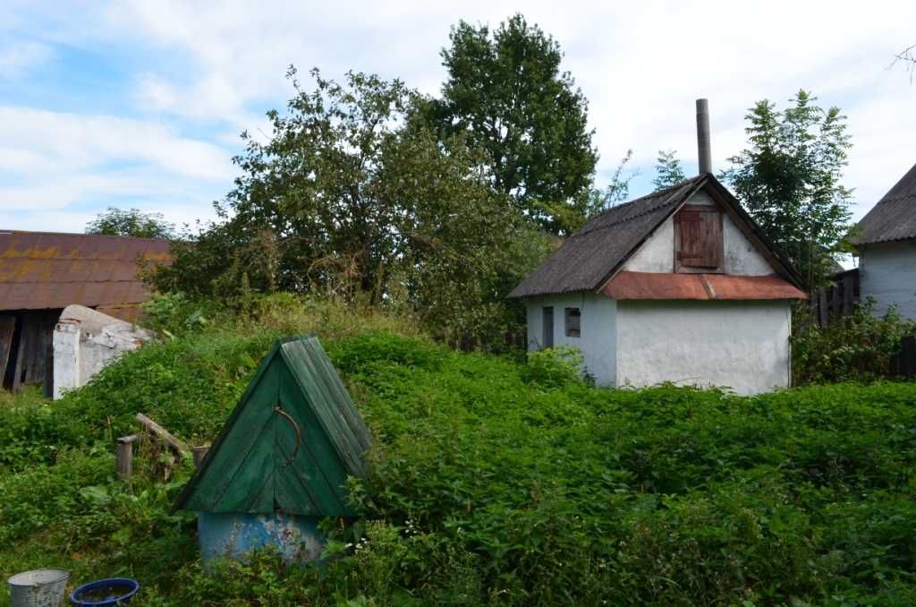 будинок в с. Старосілля