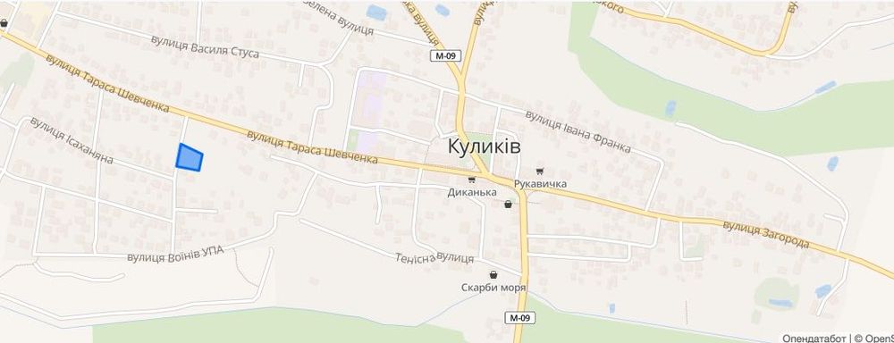 Продаж земельної ділянки Куликів під Будівництво.