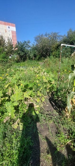 Продам земельну ділянку івана кожедуба