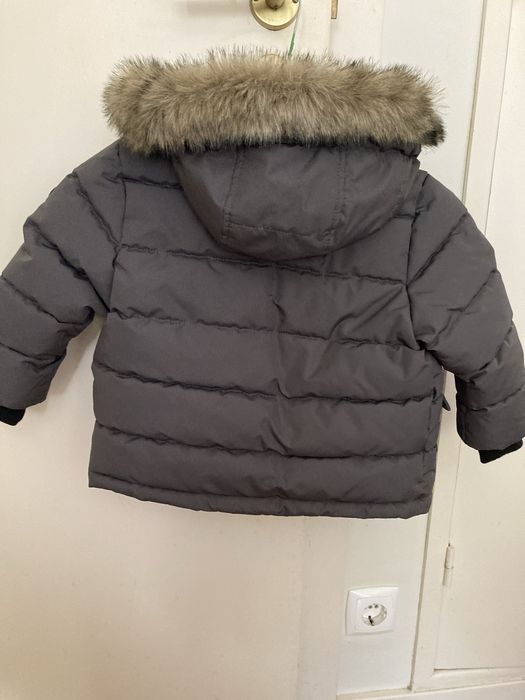 Quispe unix cinzento