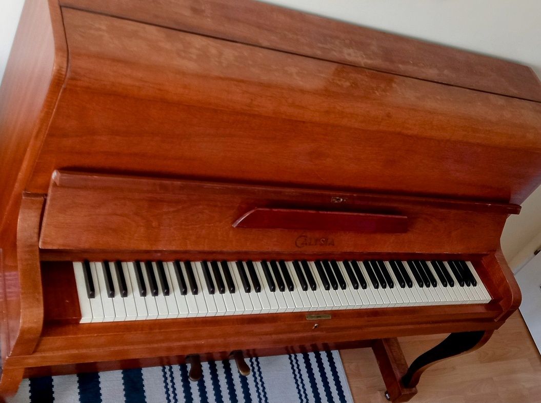 Pianino Calisia w dobre ręce
