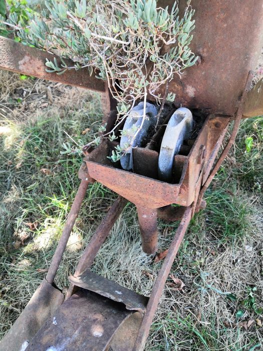 Semeador muito antigo para adorno